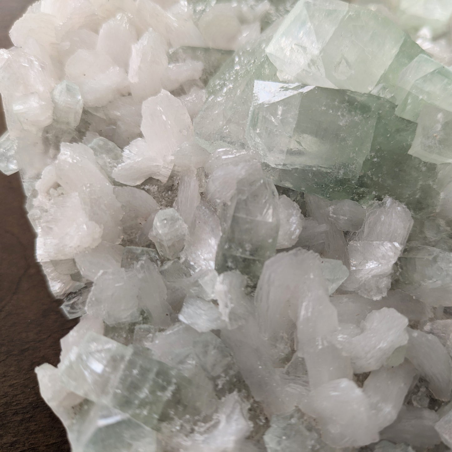 Apophyllite - Green & Clear - Extra Large!
