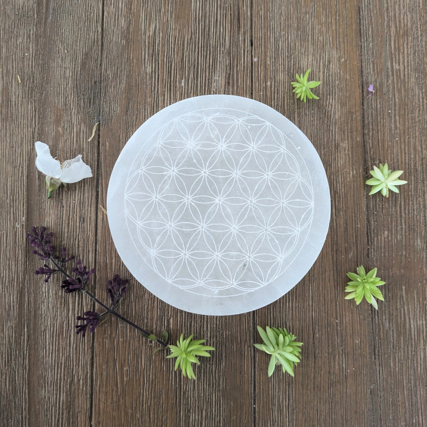 Selenite Charging Plate - Flower of Life