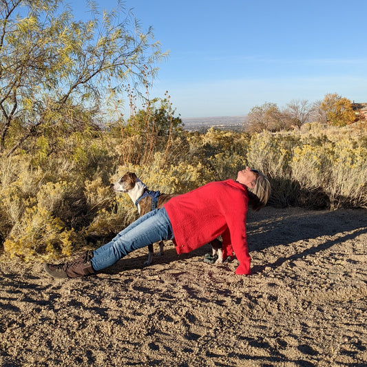 December 13: Ashtanga 90 Minute Class