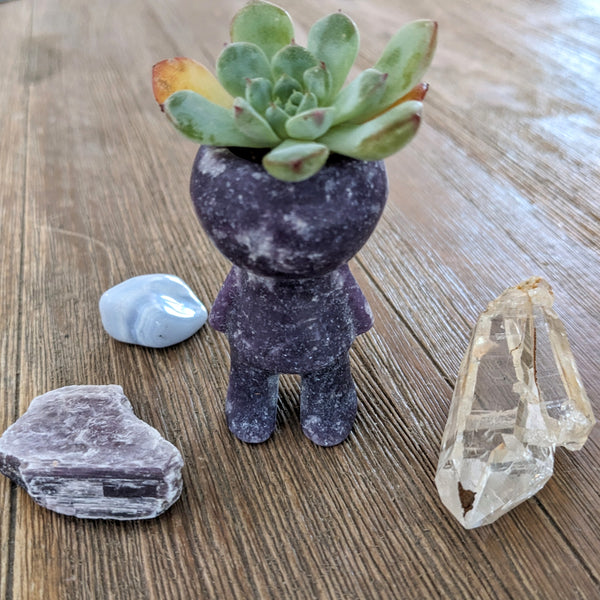 Gemstone Plant / Crystal Holder