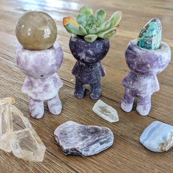 Gemstone Plant / Crystal Holder