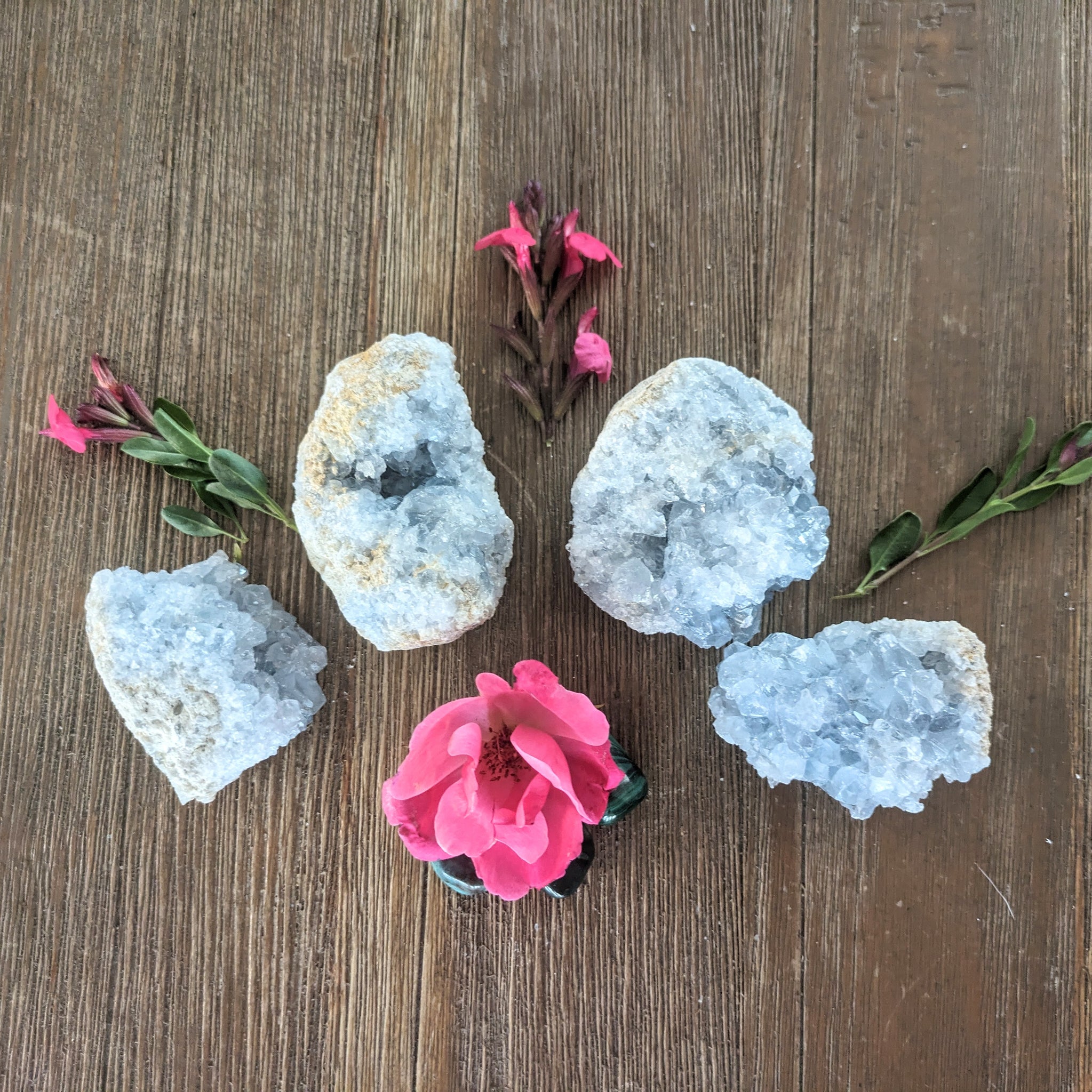 Celestite Geode