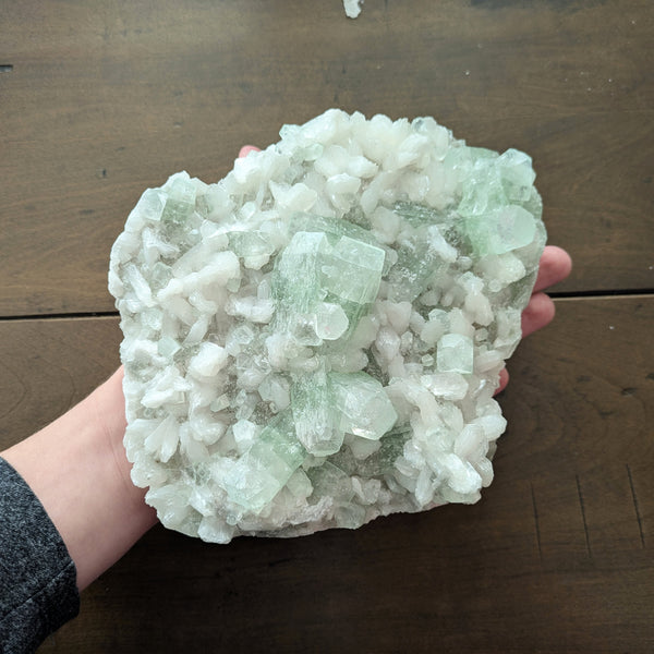 Apophyllite - Green & Clear - Extra Large!