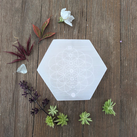 Selenite Charging Plate - Chakras & Flower of Life