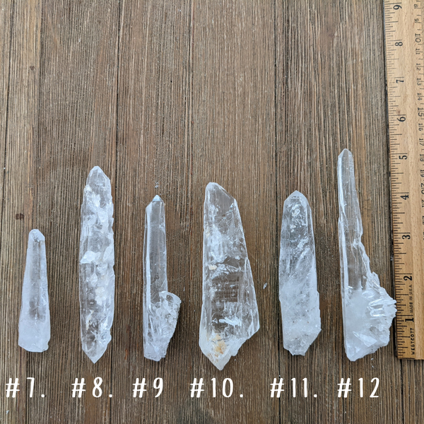 Diamantina Quartz Points *Rare*