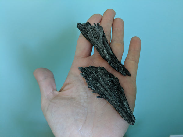 Black Kyanite Rough Piece - Crystals - The Salty Blossom