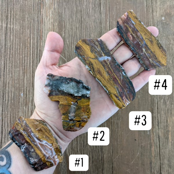 Apple Valley Seam Agate Slices