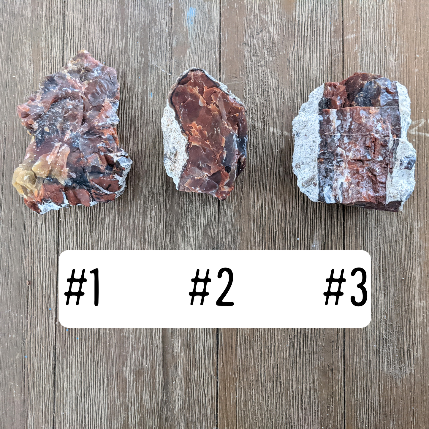 Arizona Petrified Wood - Size Large