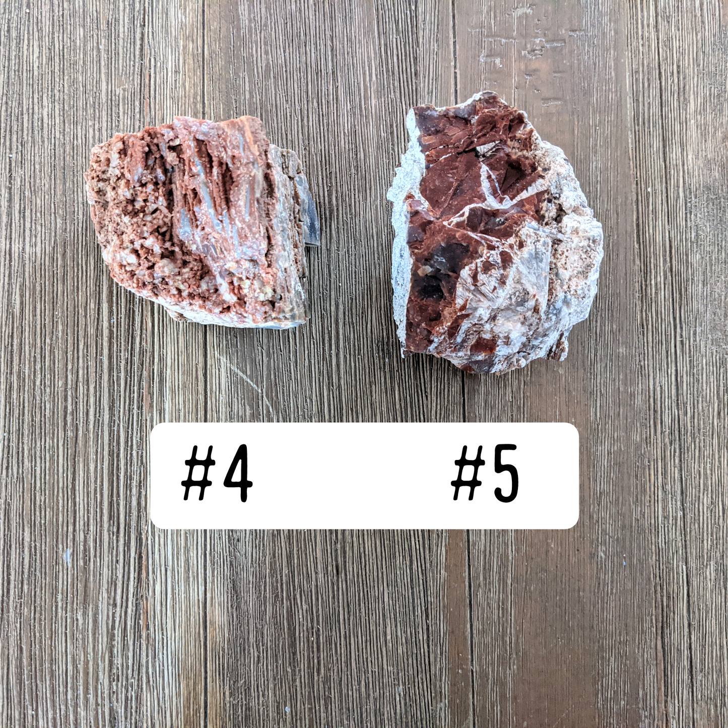 Arizona Petrified Wood - Size Large