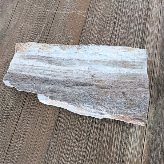 Petrified Wood Slab #1