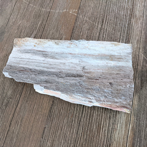 Petrified Wood Slab #1
