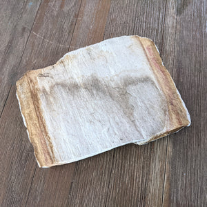 Petrified Wood Slab #2