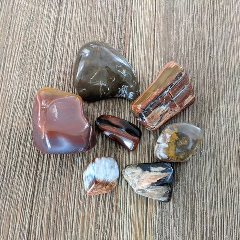 Tumbled Petrified Wood