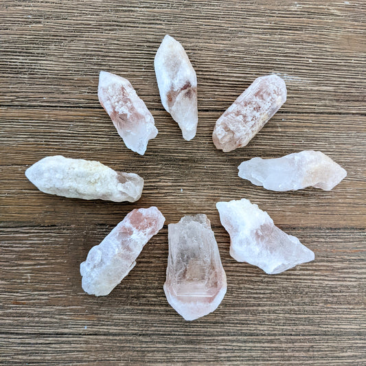 Dreamsicle Lemurian