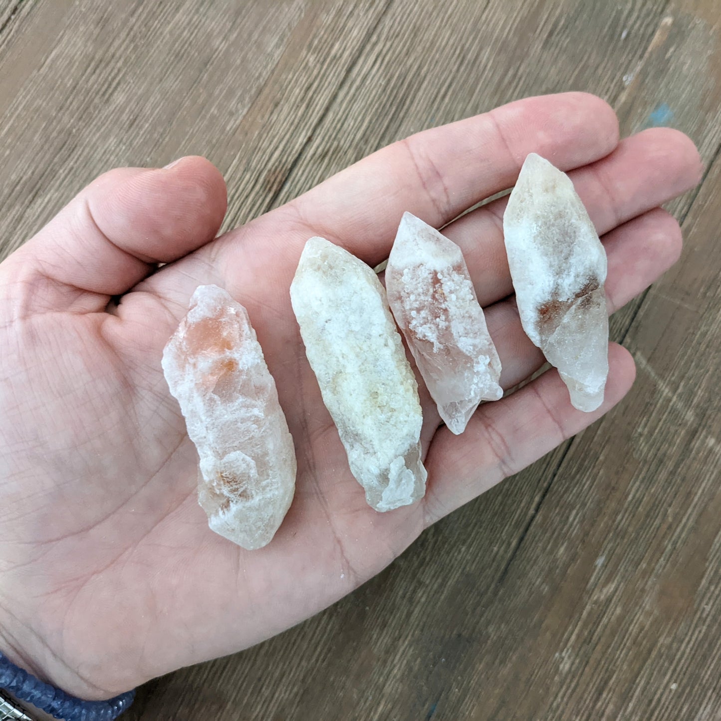 Dreamsicle Lemurian